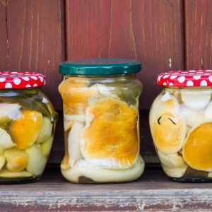 grzyby marynowane w occie jabłkowym