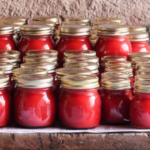 Koncentrat pomidorowy