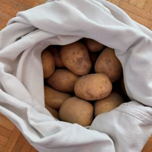przechowywanie ziemniaków