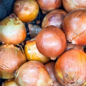 przechowywanie cebuli