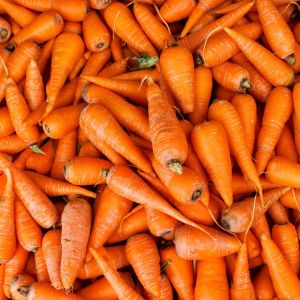 przechowywanie marchewki