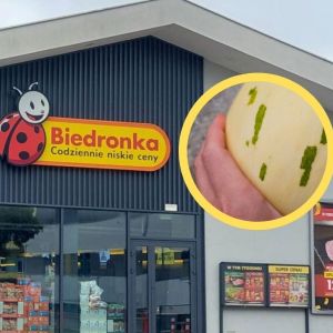 melon dino z Biedronki