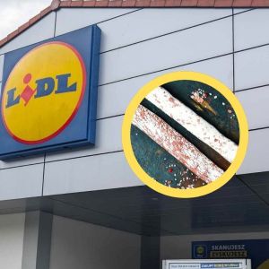 kiełbasa fuet z Lidla