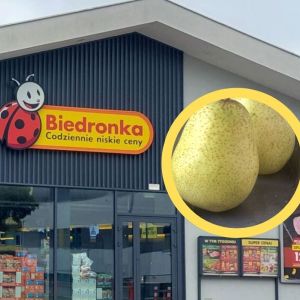 gruszka lukasówka w Biedronce