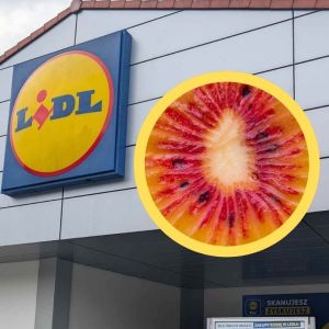 czerwone kiwi w Lidlu