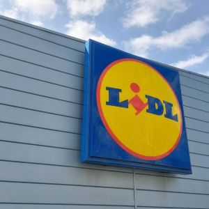 karp w Lidlu