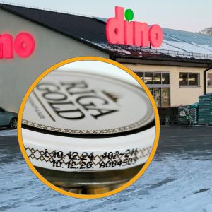 śledzik z Dino Riga Gold