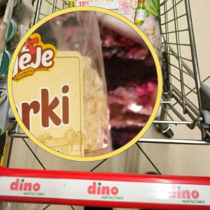 talarki SiejeJe z Dino