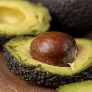 pestka z awokado