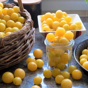 francuski syrop z mirabelek