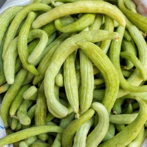 ogórki melonowe