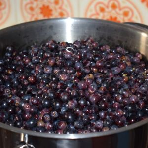 Winogrona i aronia