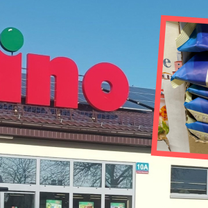Makaron rędziński z Dino
