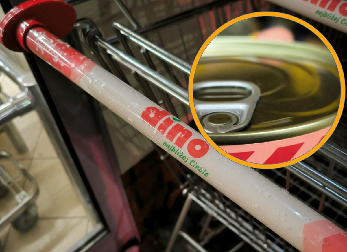 łosoś gorbusza z Dino