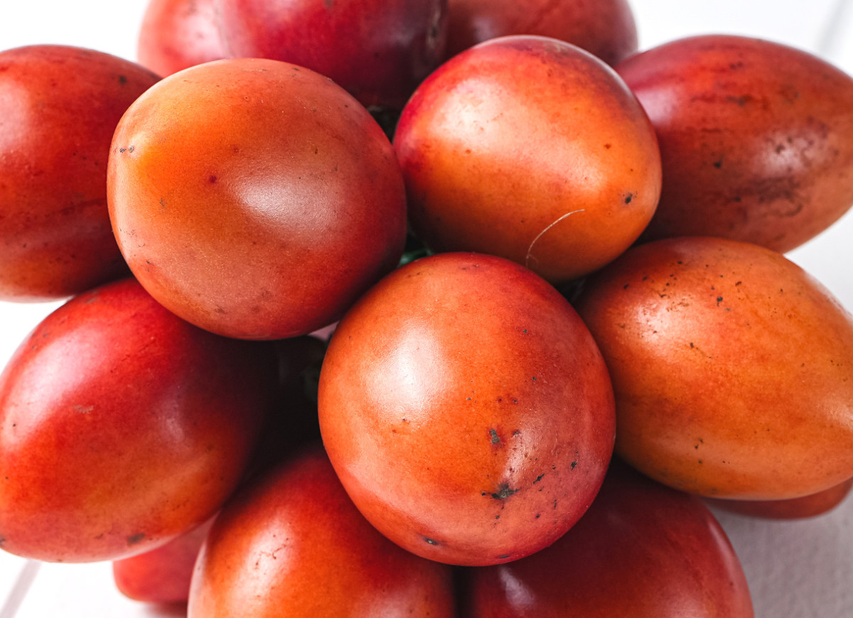 Tamarillo