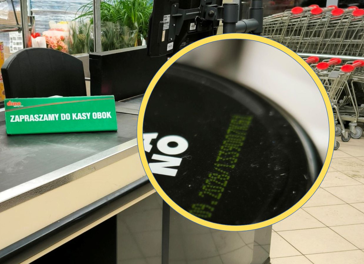 jagoda leśna z Dino