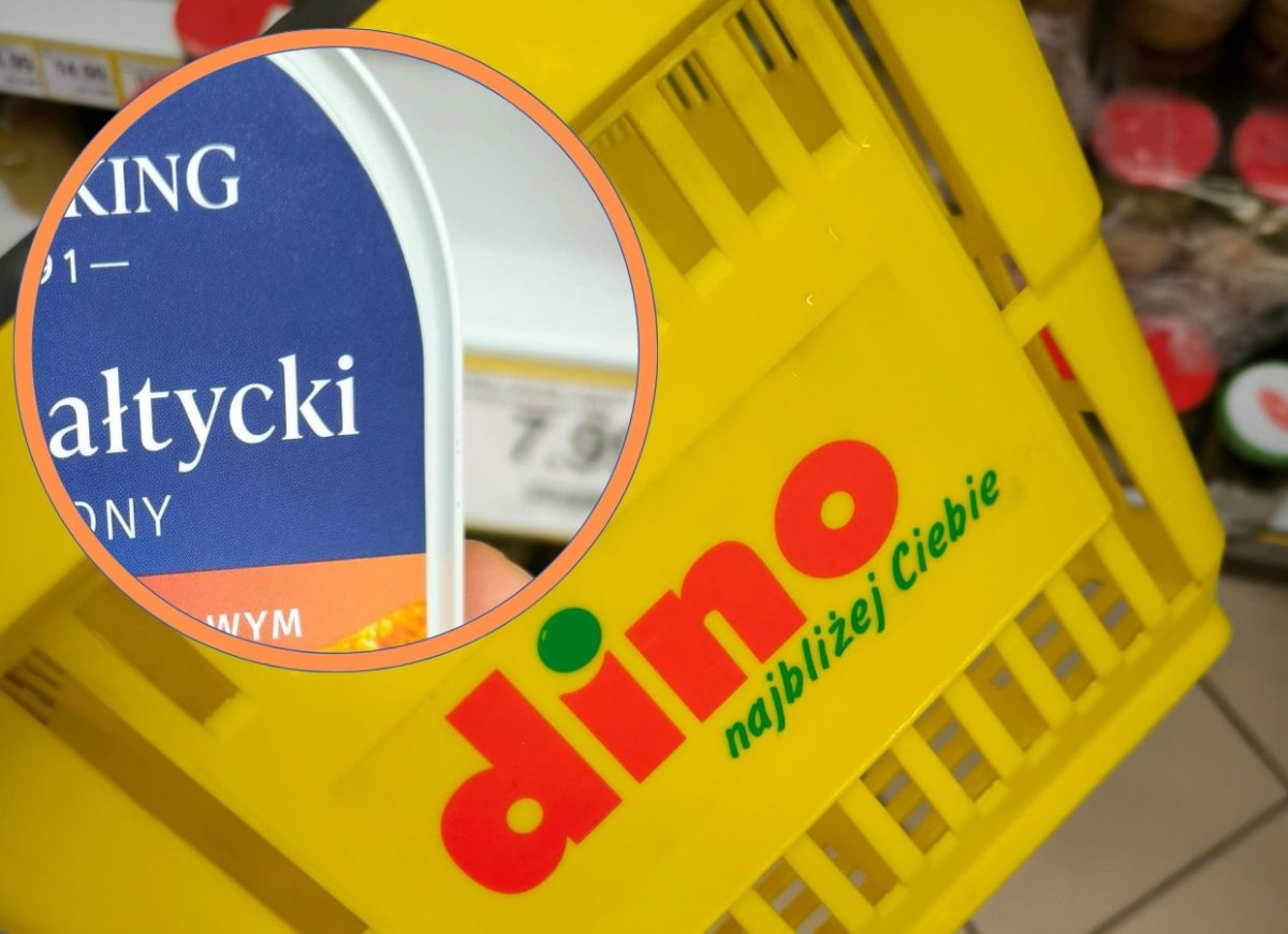 śledź bałtycki Dino