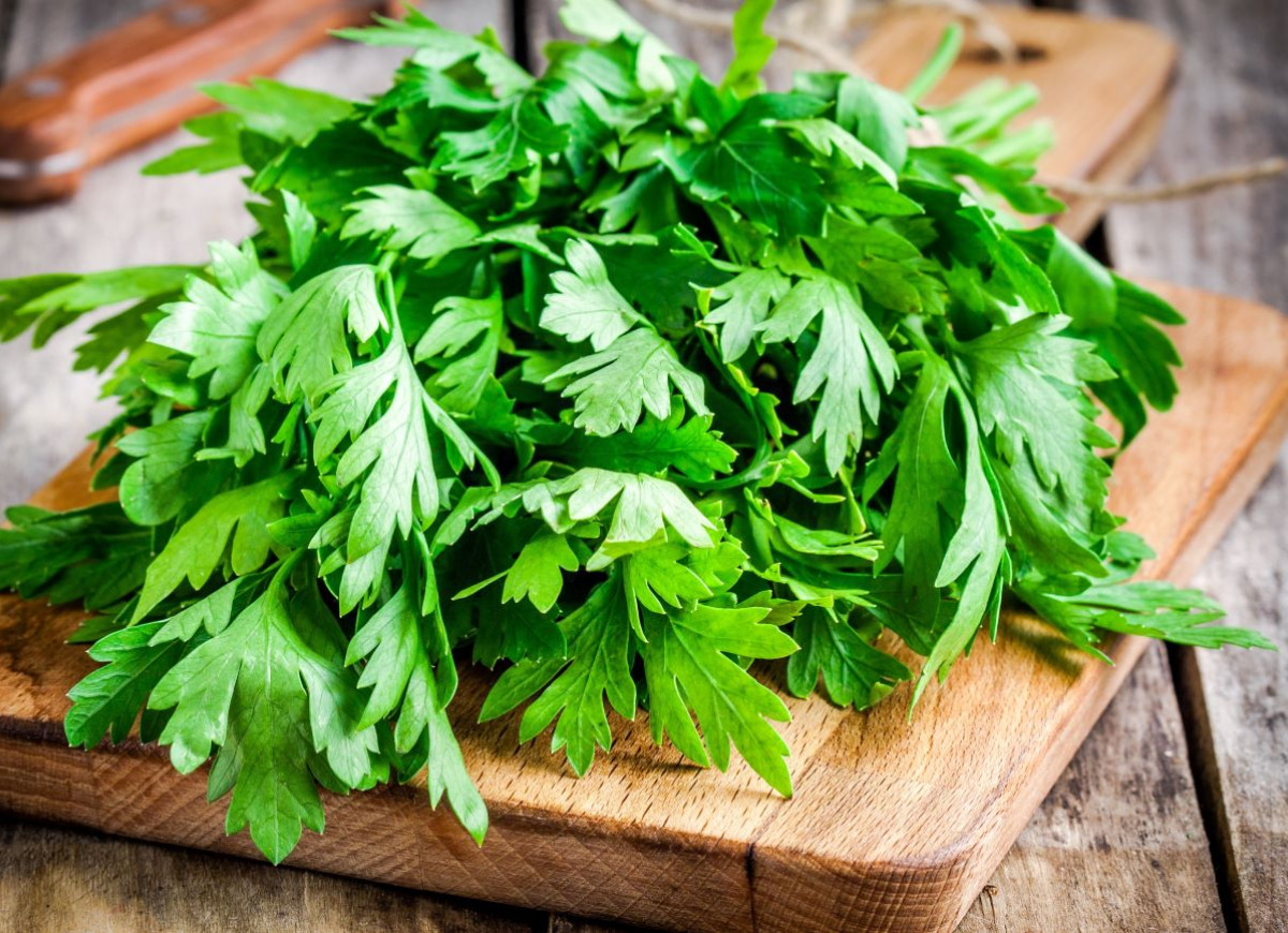 przechowywanie natki pietruszki metodą na 2 słoiki