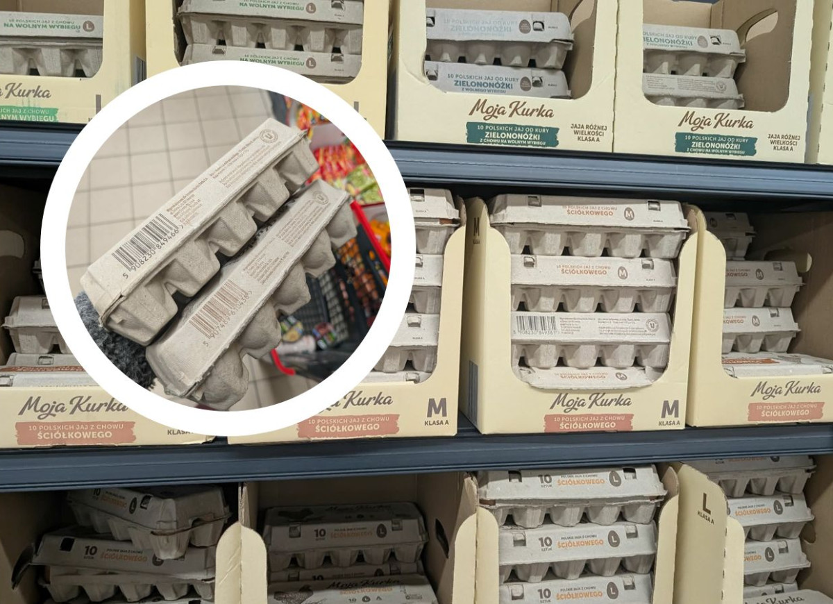 jajka z Biedronki - jajka zielononóżki