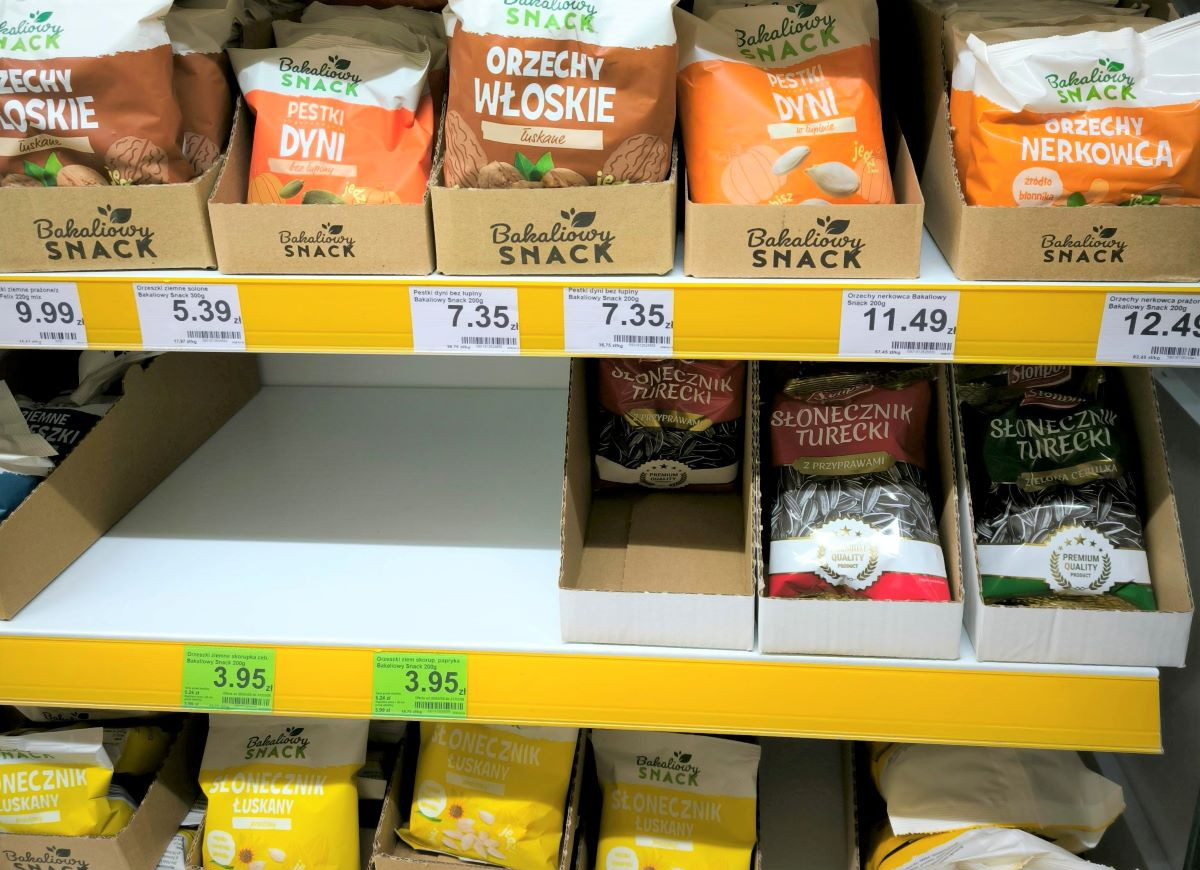 słonecznik turecki Dino