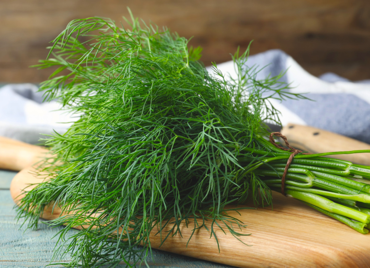 Przechowywanie koperku