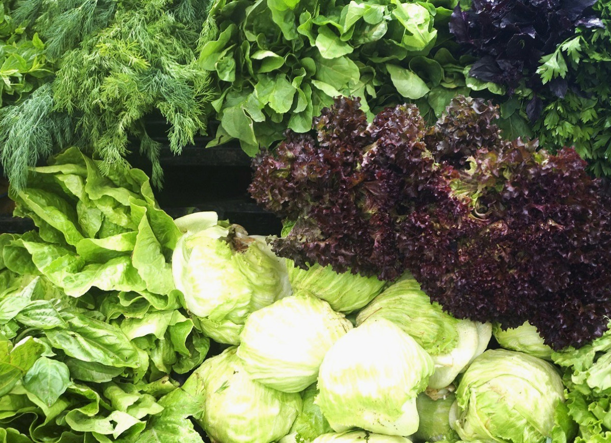 sałata lodowa w sklepie