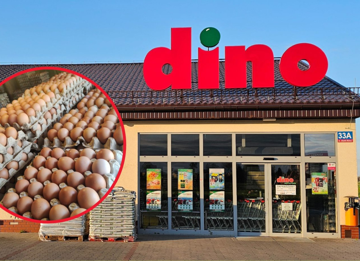 jajka Dino