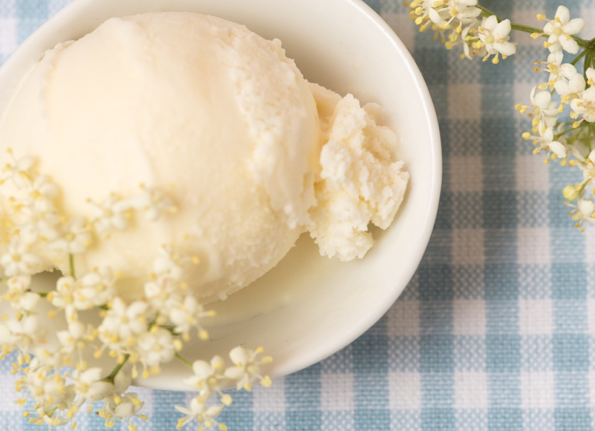 lody z kwiatów czarnego bzu