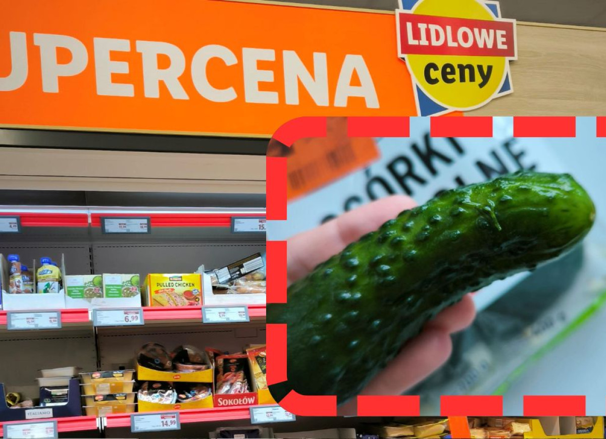 ogórki małosolne
