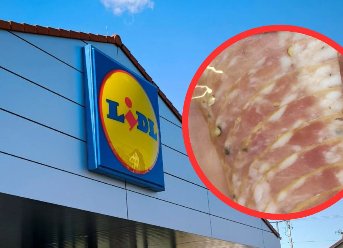 Lidl wędliny