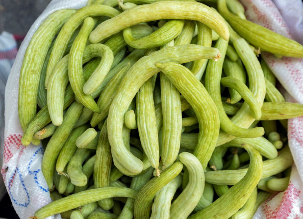 ogórki melonowe