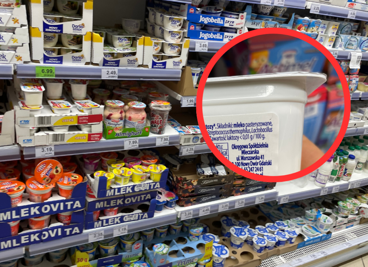 Skyr Maluta z Dino