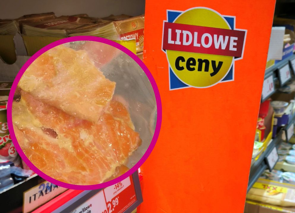 pstrąg łososiowy