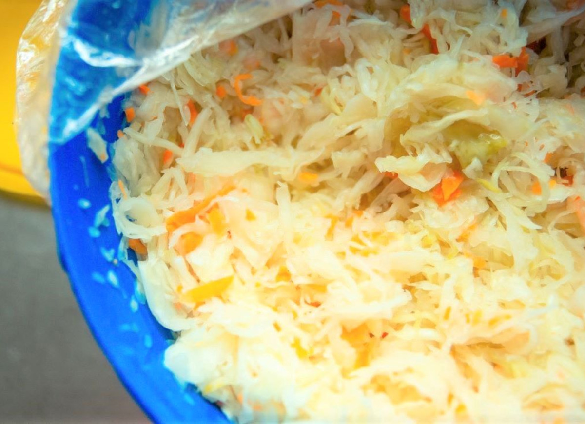kiszona kapusta