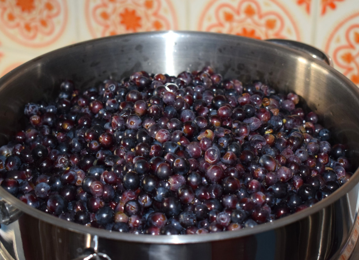 Winogrona i aronia