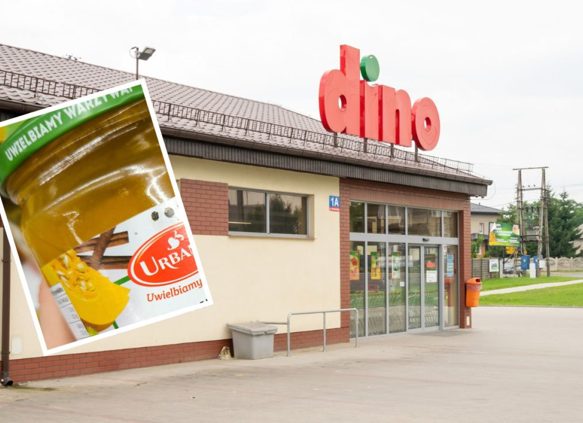 zupa dyniowa z Dino