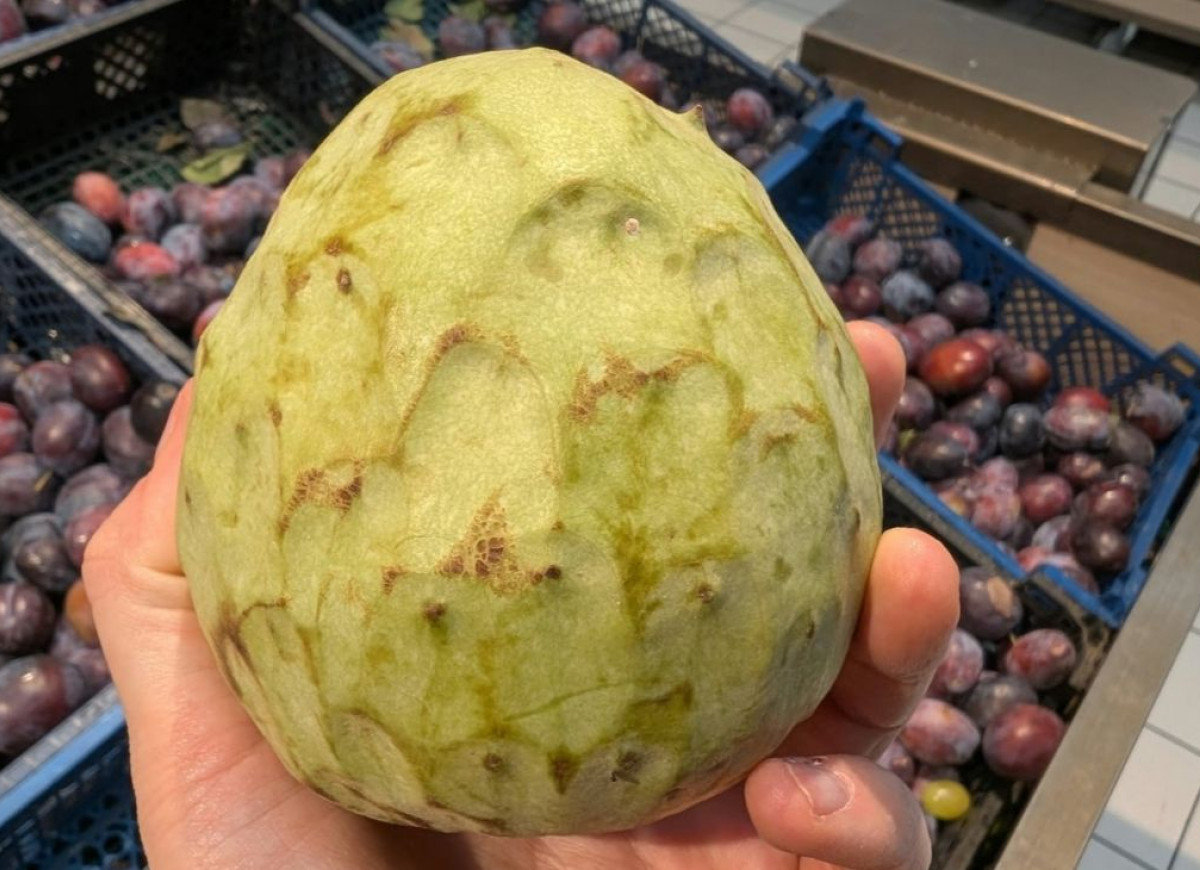 cherimoya
