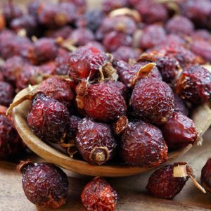 suszenie-owocow-dzikiej-rozy