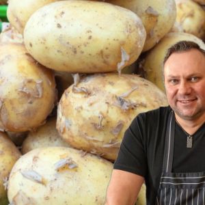 obieranie-mlodych-ziemniakow