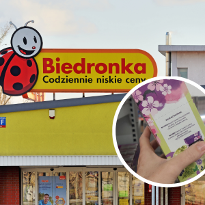 biedronka-i-matcha-latte