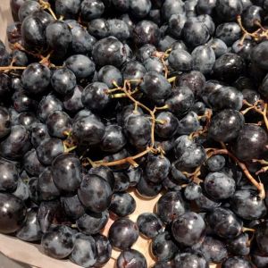 winogrona-moldawskie