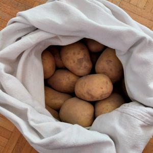 przechowywanie-ziemniakow