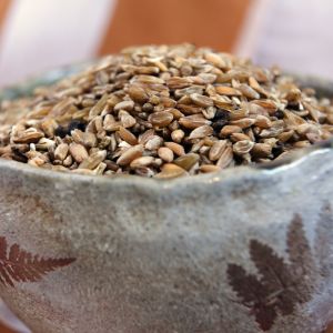 freekeh