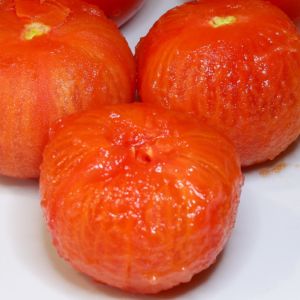 obieranie-pomidorow
