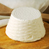 ser-ricotta