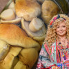grzyby-marynowane-magdy-gessler