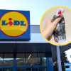 sliwka-sechlonska-lidl