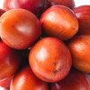 tamarillo