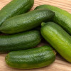finger-lime-owoc-cytrusowy