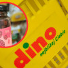 maliny-z-dino